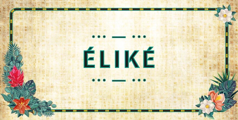 Vignette programme de coaching capillaire afro Éliké