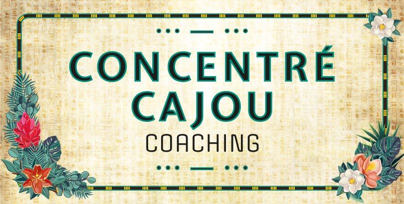 cover programme coaching texlax cajou